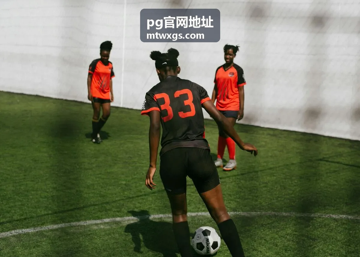 pg官网地址 功能模块说明示意图